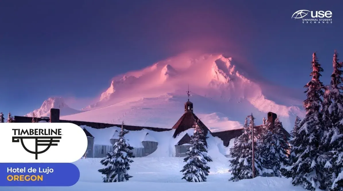 Timberline